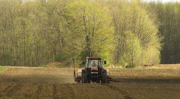 Tractor planting field