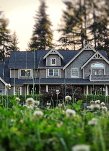 Large house and front yard. 